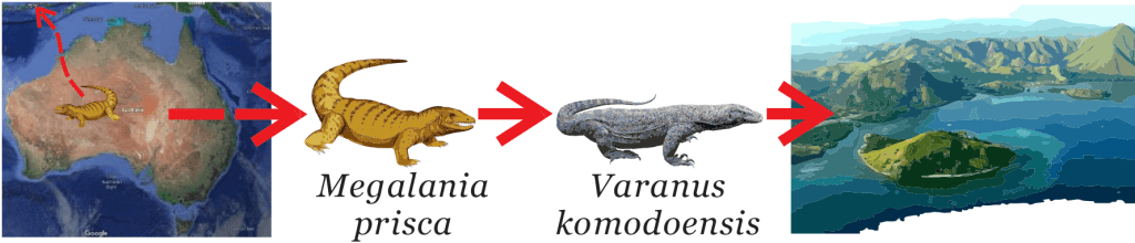 Komodo Dragon Animal: A Fascinating History to the World's Largest