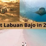 Visit Labuan Bajo in 2023