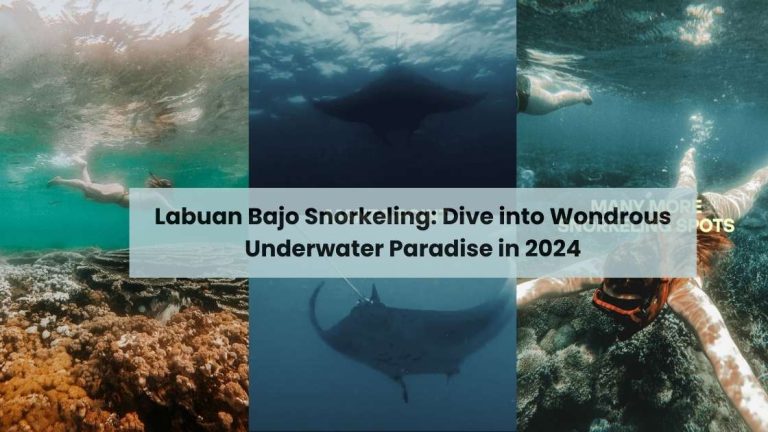Labuan Bajo Snorkeling Dive into Wondrous Underwater Paradise in 2024