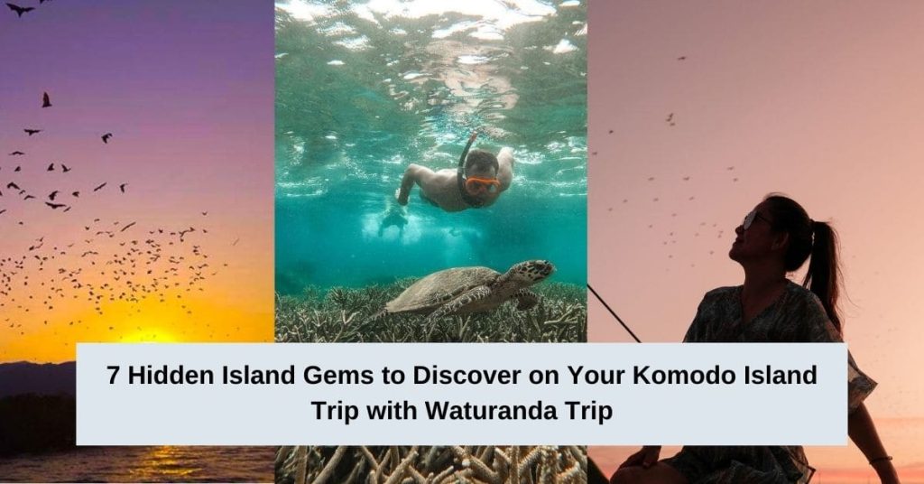 7 Best Photo Moments on Your Komodo Island Trip with Waturanda Trip-2