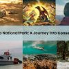 Komodo National Park in 2025: A Journey into Conservation and Harmony with Nature