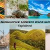 Komodo National Park in 2025 : A UNESCO World Heritage Site Explained