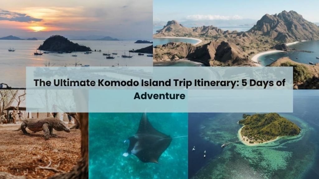 The Ultimate Komodo Island Trip Itinerary: 5 Days of Adventure